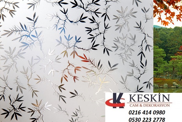 DEKORATİF CAM